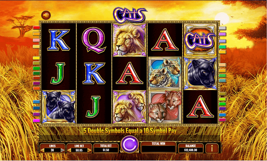 cats casino